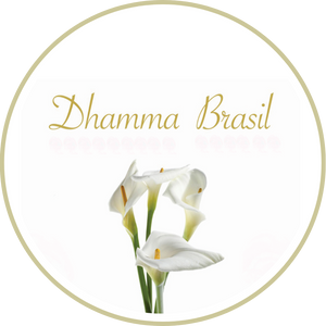 Dhamma Brasil